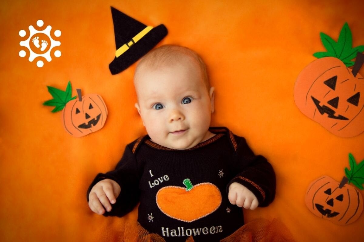 OHL Baby Web Headers (4).jpg